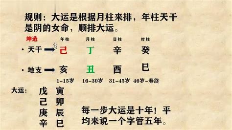 自學算命|八字自学第1课：零基础，学会八字。